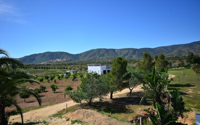 Wine country In Valle de Guadalupe