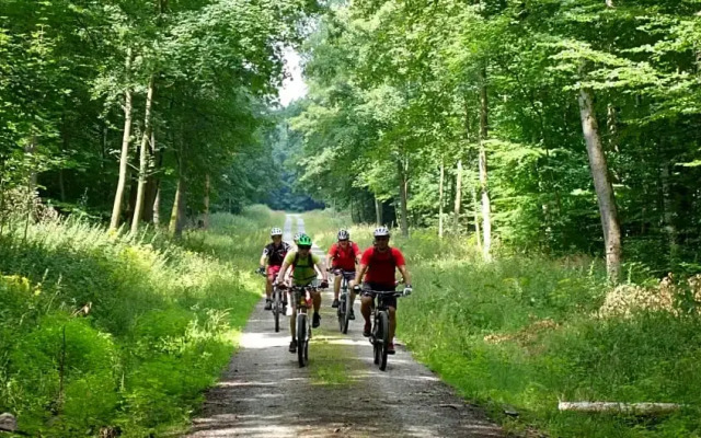 Landgasthaus & Hotel Lindenhof