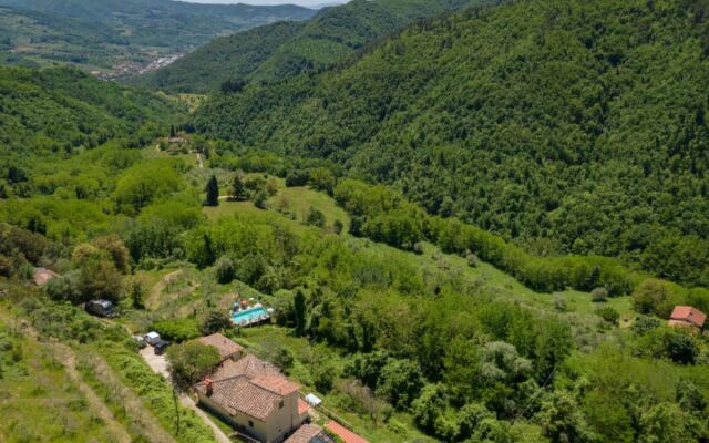 Il Castagneto 19493