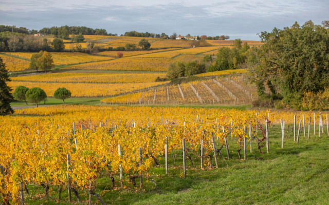 Chateau du Palanquey & SPA