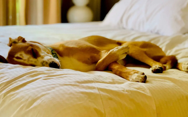 Executive Residency by Best Western Philadelphia-Willow Grove