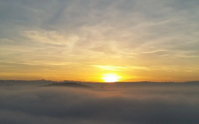 The Grape Pergola House