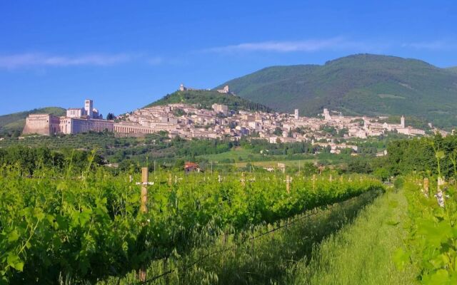 Villa in Cannara With Pool Near Assisi