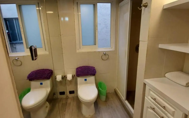 Beautiful Apartment @POLANCO