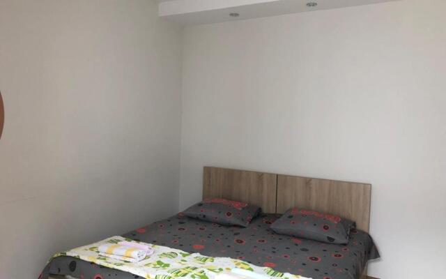 Guest house Romanadze