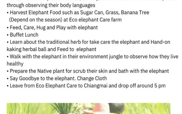 Trekker Camp Chiang Mai - Hostel