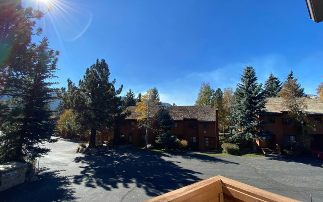 Snowflower #68 Condo