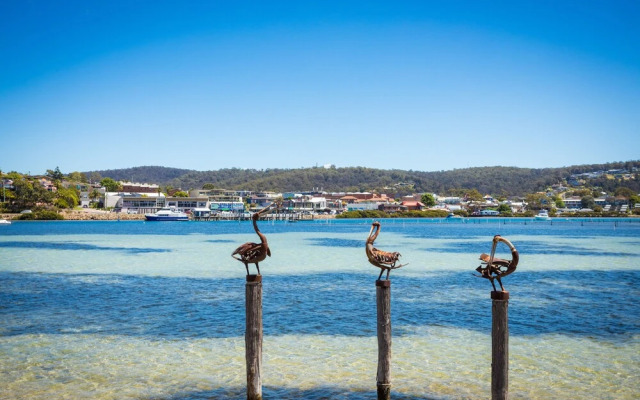 Cetacea Luxury Apartments