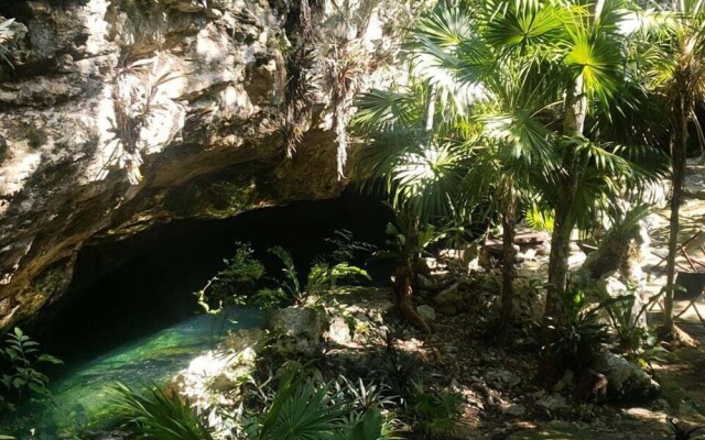 Cenote and Villas BalamHa - Akumal