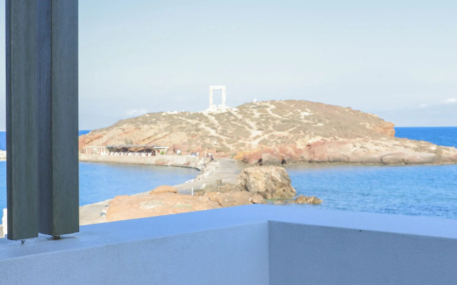 Naxos Rhyton-Adults Only