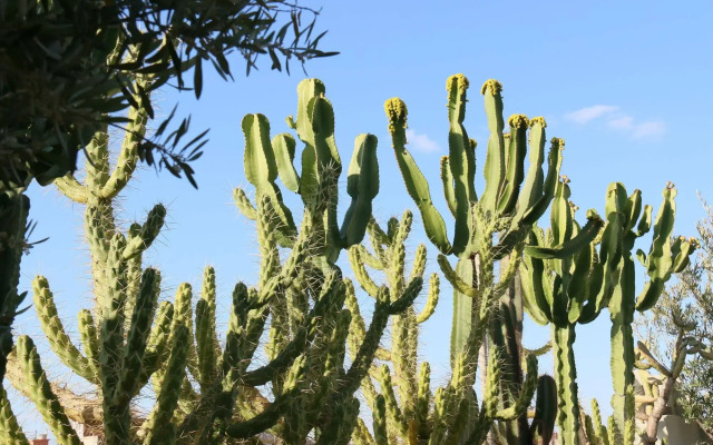 Ambre Epices Medina Riad
