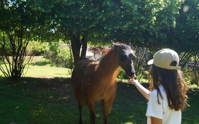 Loire Valley Llama Farm Stay