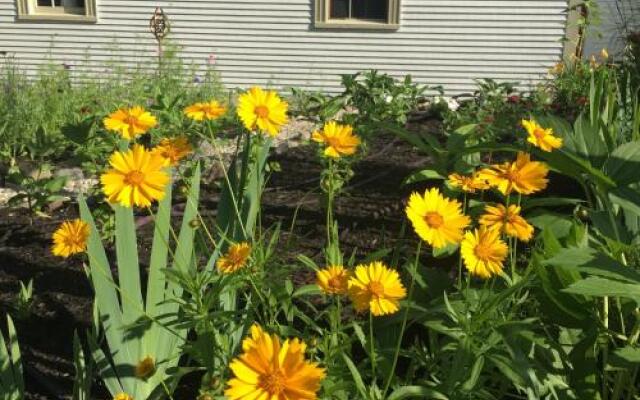 Black Boar Inn Ogunquit