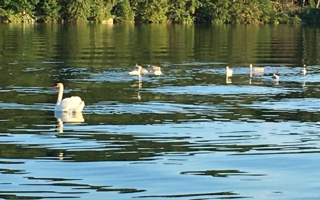 Watermark Waterfront Cottages