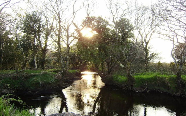 Cloverfox Connemara