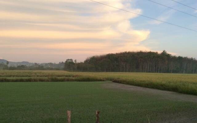 Wichuda Fishing Park & Homestay