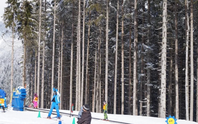 Hotel Wenger Alpenhof