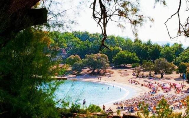 Rena's Hospitality walk to the beach,10min to Chania!