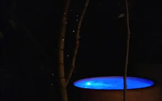 Domaine de Saint Cerice en Ardèche Sud