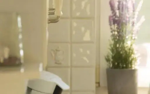 'Op de Borgt' met Finse Grill Kota