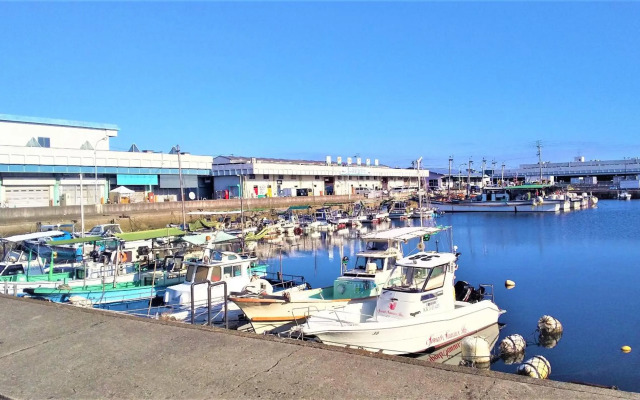 Olive House – Hostel