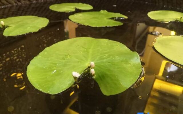 Qujing Xihua·Yu Hotel