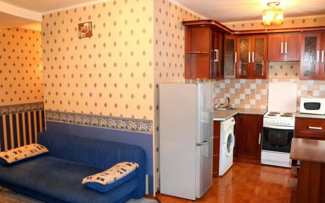 Baikal Apartments Central