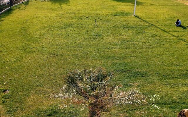 Evergreen Resort & Farm Aravali
