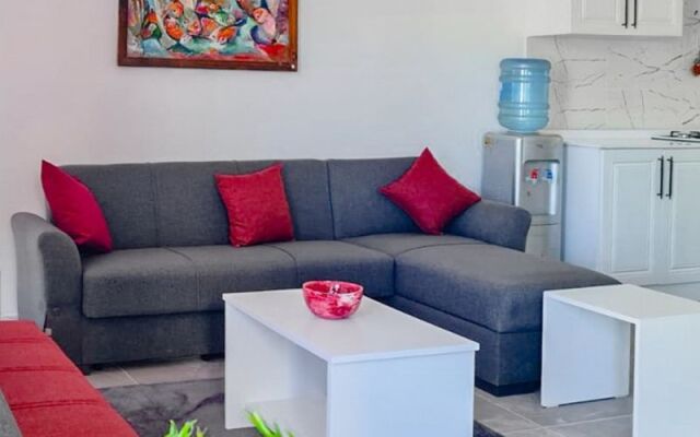 Ressam | Kıbrıs