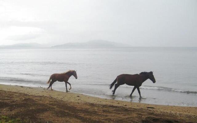 Aroha Taveuni Beachfront Bures