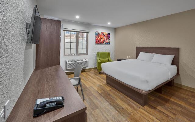 Extended Suites Celaya Galerías