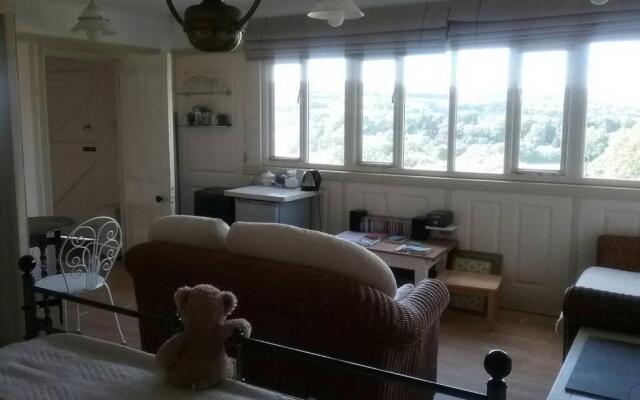 Stags View,Unique eco cabin, Dartmoor views