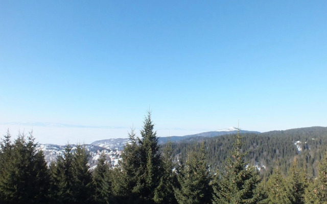 Suncani Breg - Studio 11