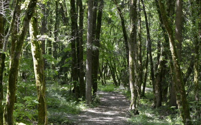 Hôtel Le Bois Dormant