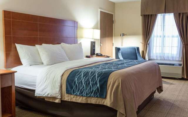 Comfort Inn Civic Center