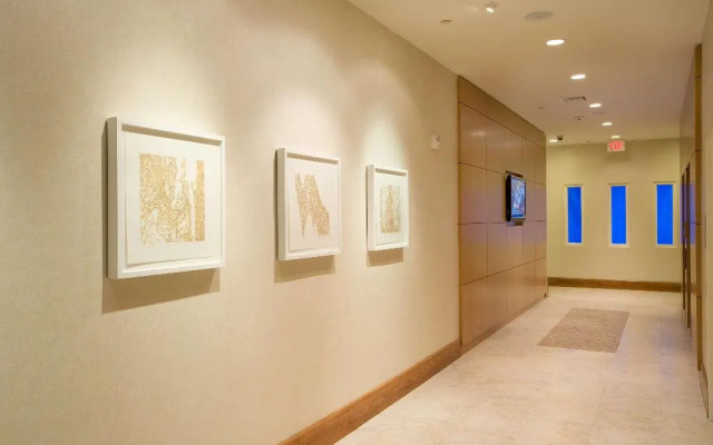 Hilton Garden Inn Dallas Richardson