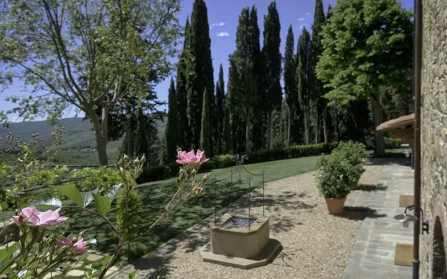 Luxury Chianti in Olive in Panzano Chianti