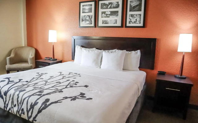 Sleep Inn and Suites - Ocala / Belleview