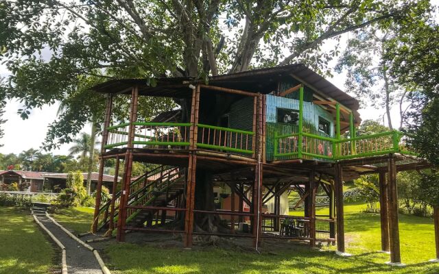 Room in Lodge - Tree House Finca La Floresta Verde