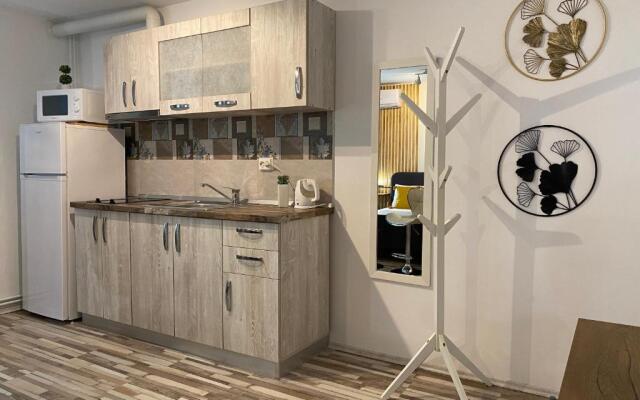 Urseni Studio Apartment
