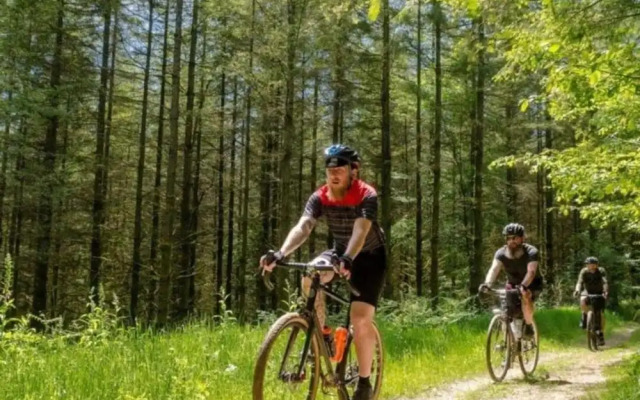 Charming Apartment in Ardennes