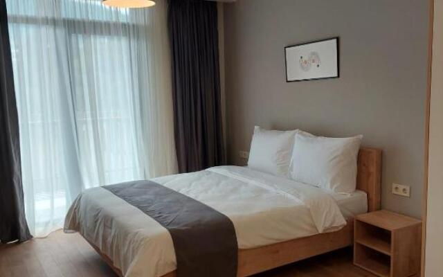 Bakuriani apartment M25 (517)