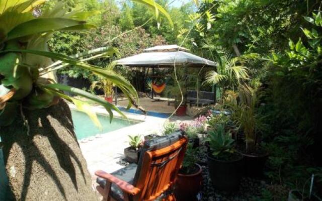 Hidden Oasis