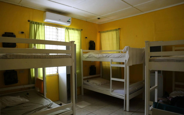 Reggae Hostel