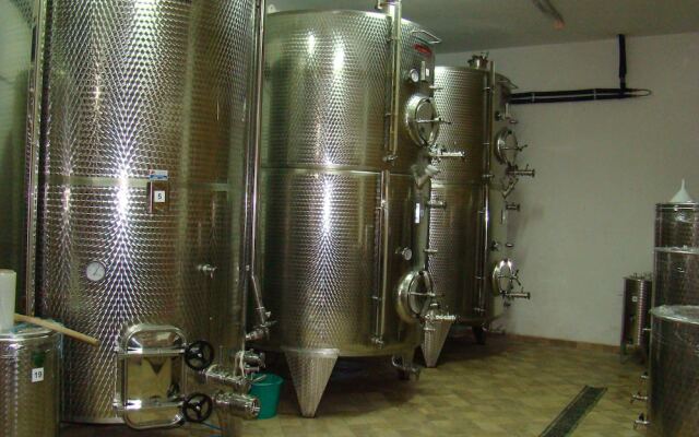 Agrotourism Vinia