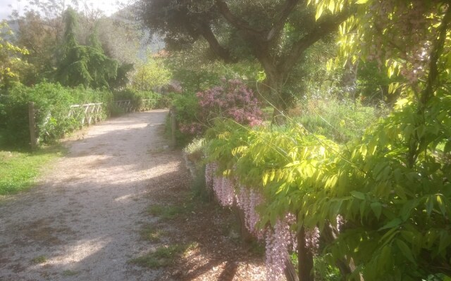 Tenuta le pantanelle