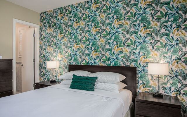 The Local - St. Augustine