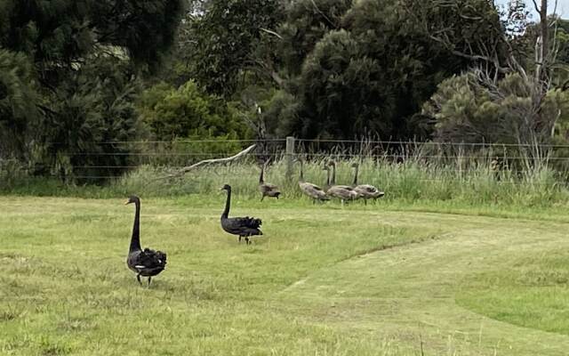 Aussie Golf Ranch