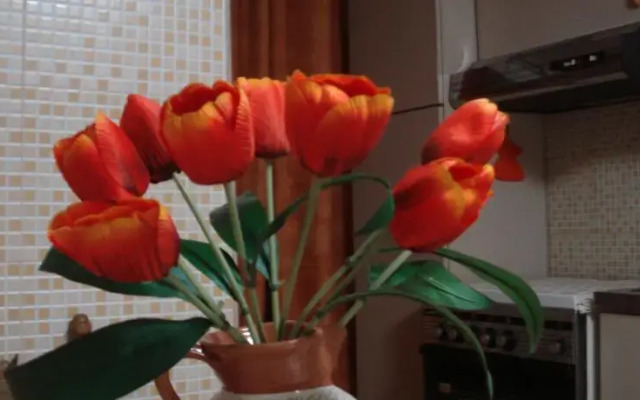 Orange House