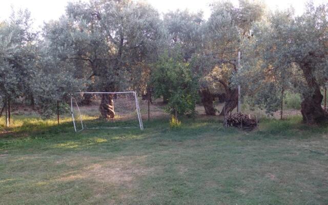 The Small House in the Olive Grove